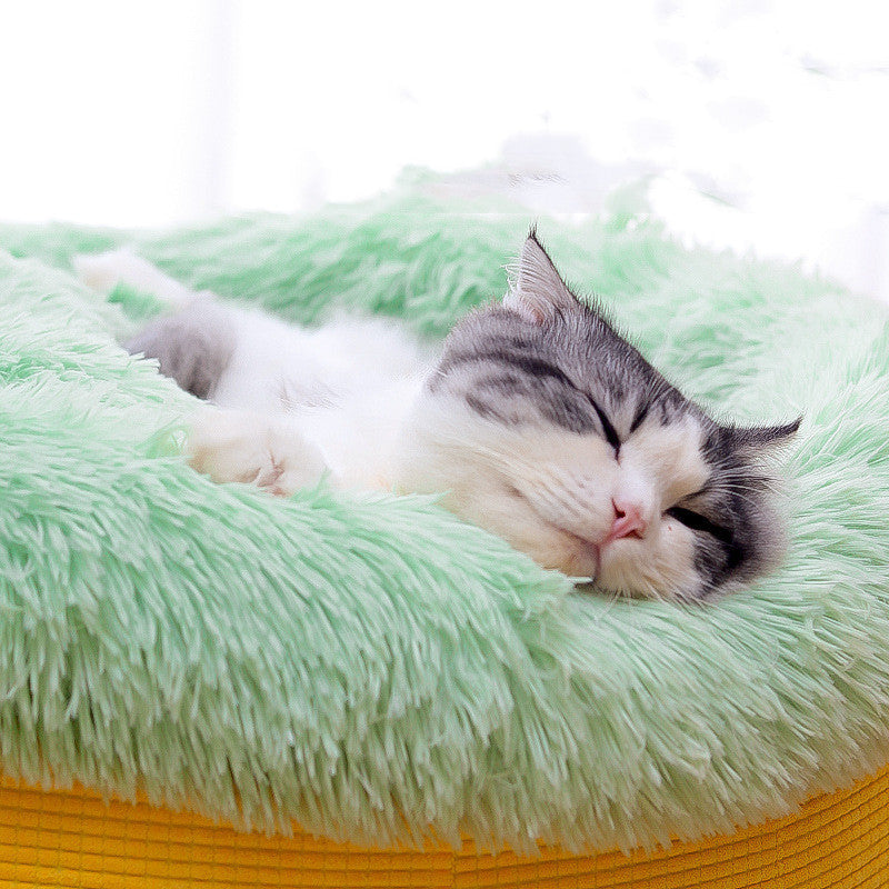Winter Thick Plush Pet Bed – Warm Cozy Bed for Dogs & Cats