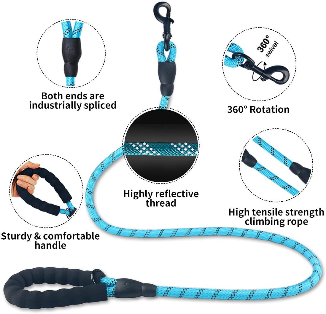 Retractable Luminous Pet Leash – Night-Safe Dog Walking