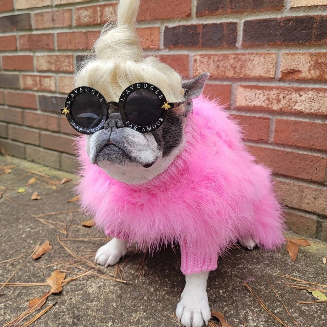 Feathered Luxury Pet Sweater – Haute Couture Dog & Cat Apparel