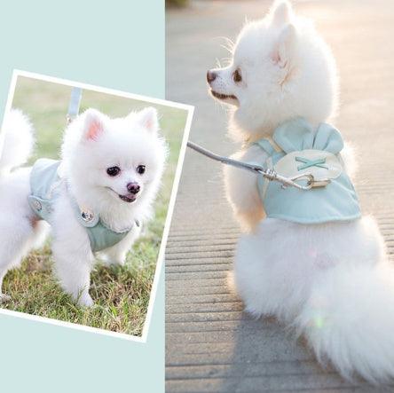 Cute Dog Harness & Leash Set – Comfortable Pet Walking Gear