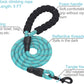 2-Pack Dog Training Collars – Adjustable for All Sizes