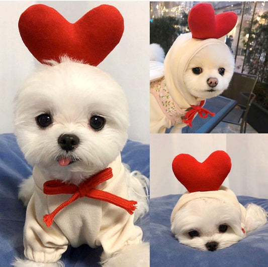 Cute Warm Small Dog Hoodie – Cozy Pet Sweater