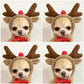 Cute Warm Small Dog Hoodie – Cozy Pet Sweater