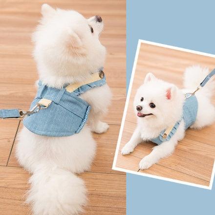 Cute Dog Harness & Leash Set – Comfortable Pet Walking Gear