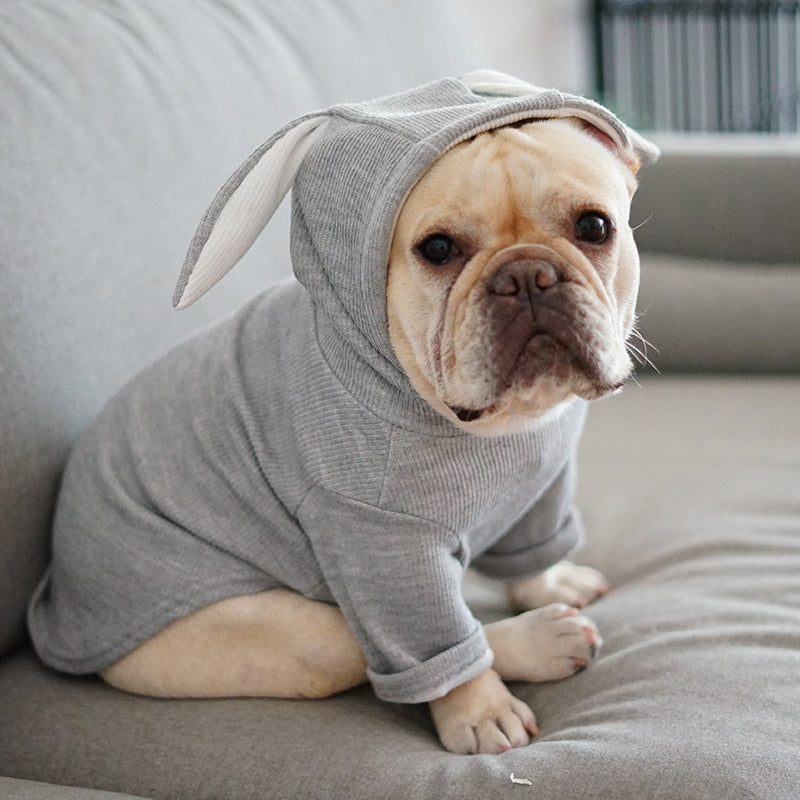 Cute Warm Hooded Dog Clothes – Cozy Pet Hoodie