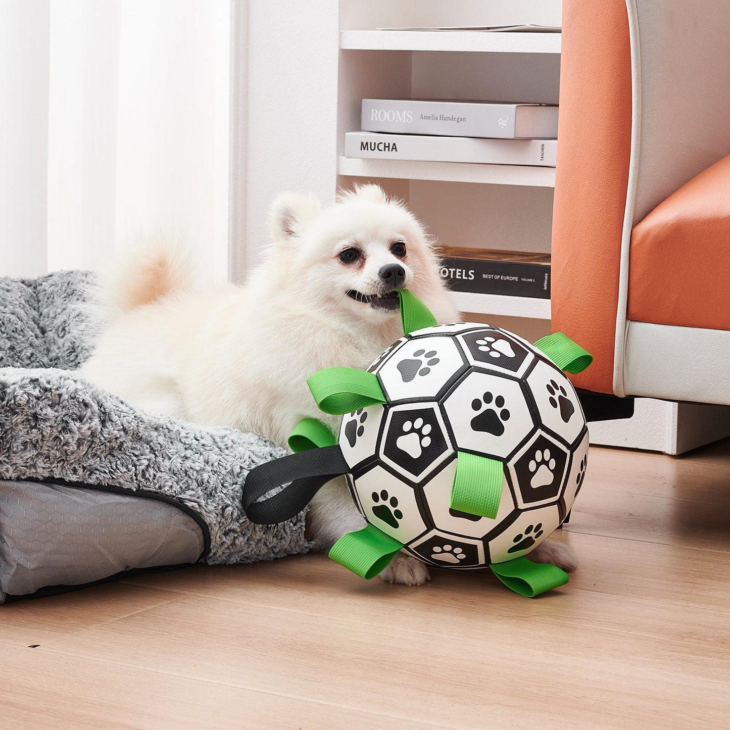 Interactive Football Dog Toy – Fun Fetch & Chew Toy