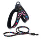 Night-Safe Dog Harness & Leash Set – Reflective Walking Gear