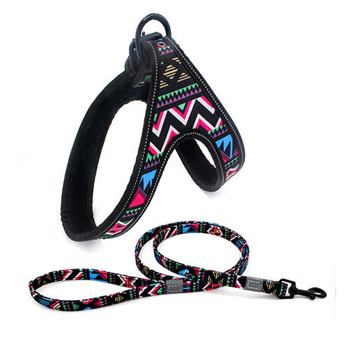 Night-Safe Dog Harness & Leash Set – Reflective Walking Gear