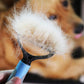 Double-Sided Pet Grooming Tool – Brush & Comb for Dogs & Cats