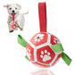 Interactive Football Dog Toy – Fun Fetch & Chew Toy