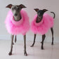 Feathered Luxury Pet Sweater – Haute Couture Dog & Cat Apparel