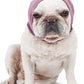 Pet Ear Muff Headband for Dogs & Cats – Noise, Cold & Ear Protection