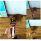 Double-Sided Pet Grooming Tool – Brush & Comb for Dogs & Cats