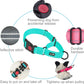 2-Pack Dog Training Collars – Adjustable for All Sizes