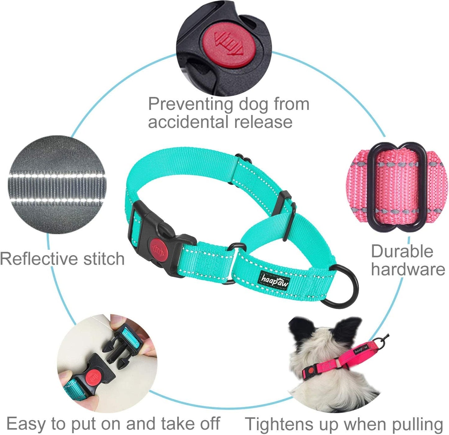 2-Pack Dog Training Collars – Adjustable for All Sizes