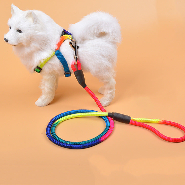 Colorful Nylon Round Dog Leash – Hand-Held Pet Leash