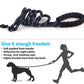 Retractable Luminous Pet Leash – Night-Safe Dog Walking