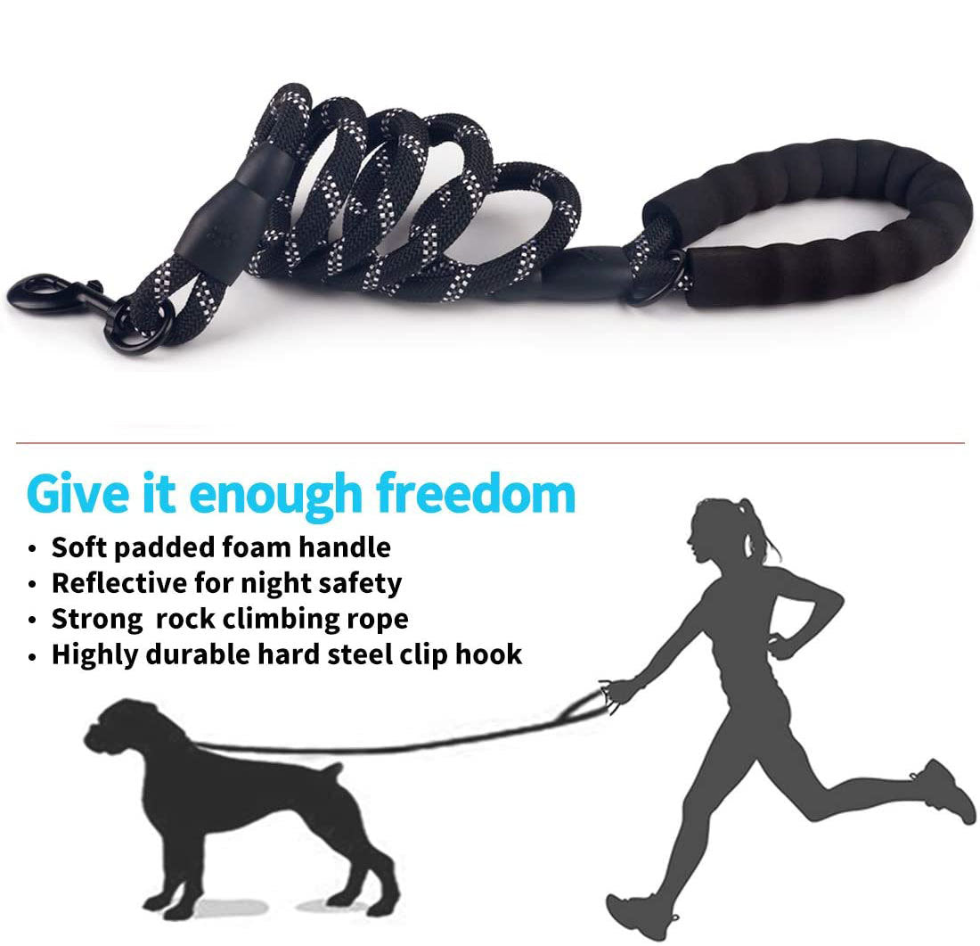 Retractable Luminous Pet Leash – Night-Safe Dog Walking