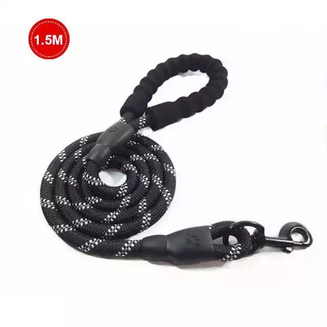 Retractable Luminous Pet Leash – Night-Safe Dog Walking