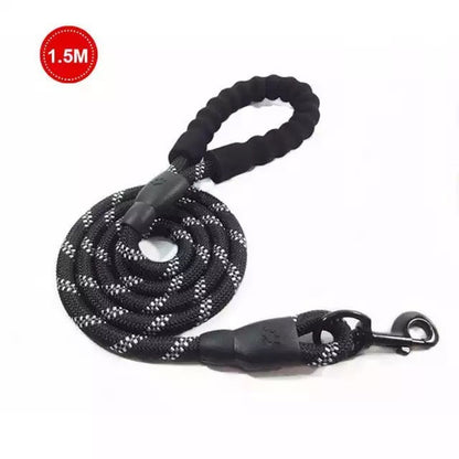 Retractable Luminous Pet Leash – Night-Safe Dog Walking