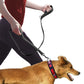 Pet Double Handle Pull Leash – Control & Comfort for Dogs