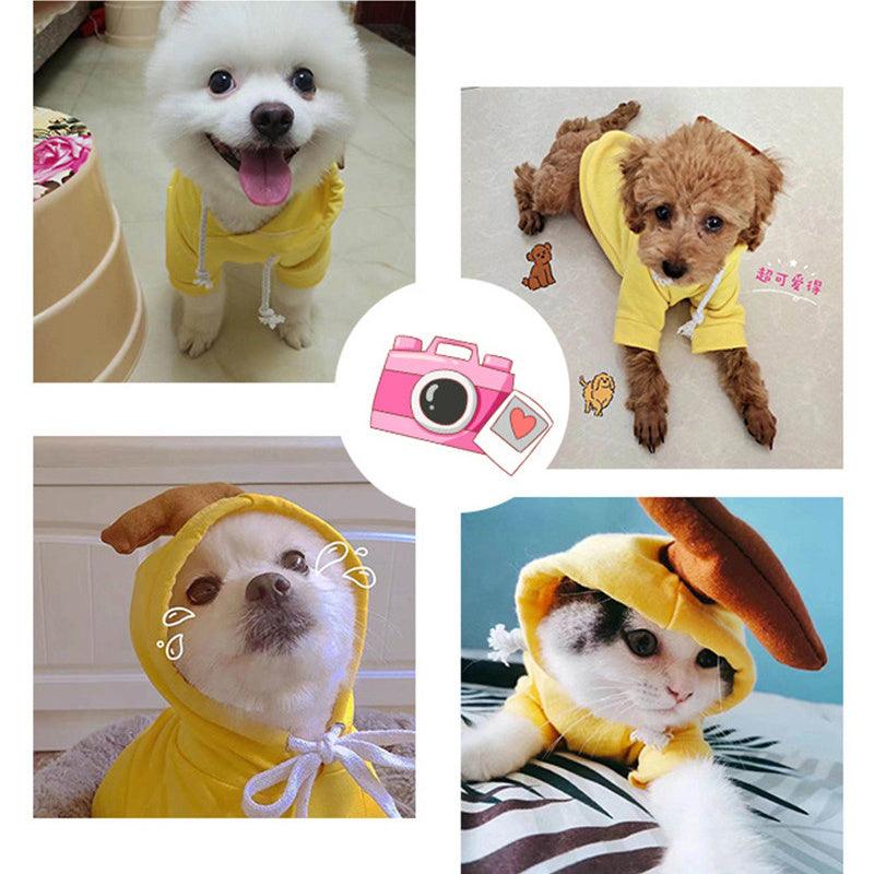 Cute Warm Small Dog Hoodie – Cozy Pet Sweater