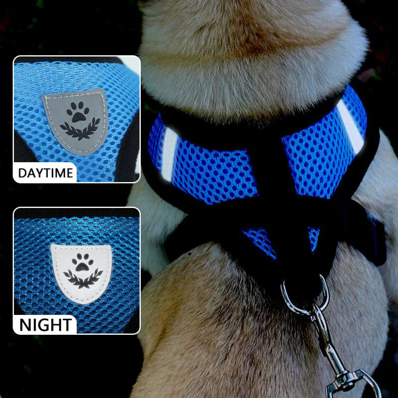 Adjustable Reflective Pet Harness – Dog & Cat Control Vest with Leash