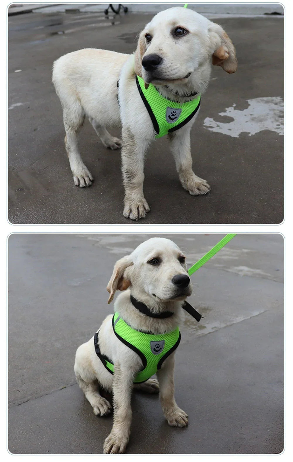 Adjustable Reflective Pet Harness – Dog & Cat Control Vest with Leash