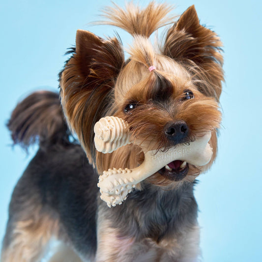BetterBone Soft Chew Toy – Natural & Durable for Dogs