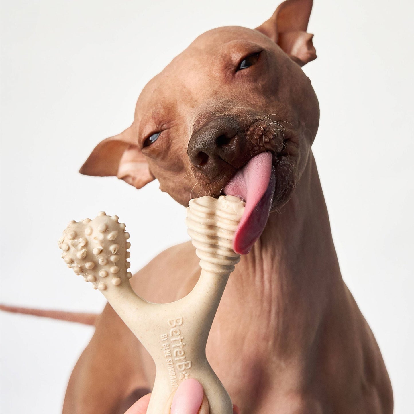 BetterBone Soft Chew Toy – Natural & Durable for Dogs