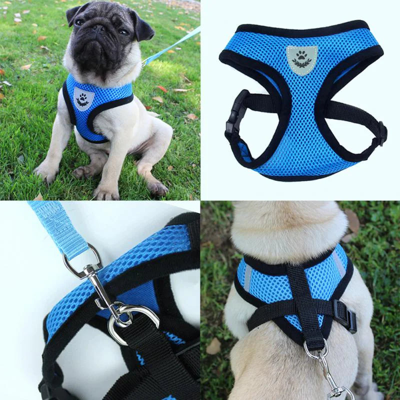 Adjustable Reflective Pet Harness – Dog & Cat Control Vest with Leash