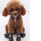 Waterproof Fleece-Lined Dog Snow Boots – Warm Winter Paw Protection