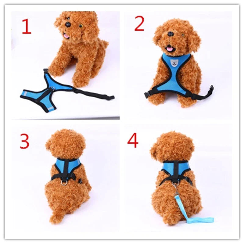 Adjustable Reflective Pet Harness – Dog & Cat Control Vest with Leash