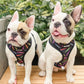 Teacher's Pet Reversible Harness – Stylish & Adjustable Dog Vest