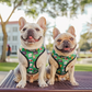 Teacher's Pet Reversible Harness – Stylish & Adjustable Dog Vest
