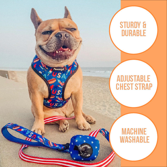Teacher's Pet Reversible Harness – Stylish & Adjustable Dog Vest