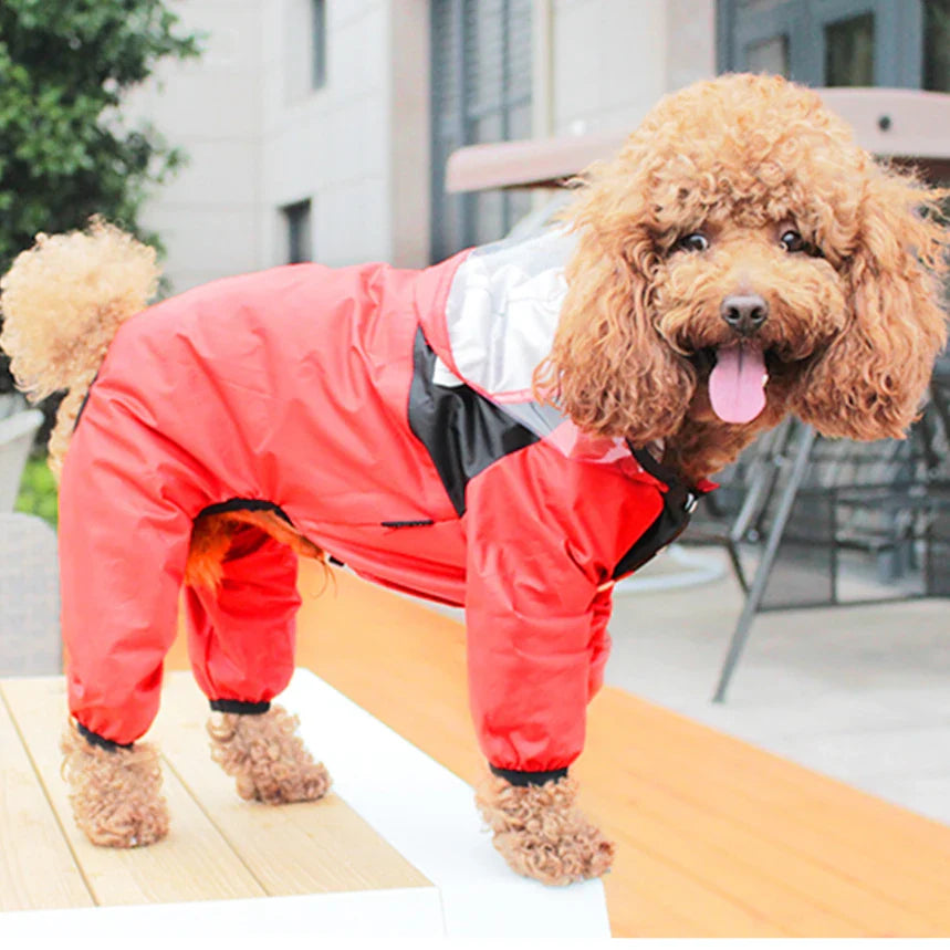 Waterproof Dog Raincoat | Keep Your Pup Dry & Happy in Any Storm