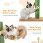 5-Tier Cat Tree Tower – Scratching Posts & Hammock Included