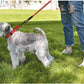 2-Pack Dog Training Collars – Adjustable for All Sizes