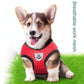 Adjustable Reflective Pet Harness – Dog & Cat Control Vest with Leash