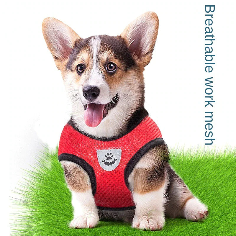 Adjustable Reflective Pet Harness – Dog & Cat Control Vest with Leash