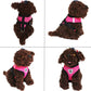 Adjustable Reflective Pet Harness – Dog & Cat Control Vest with Leash
