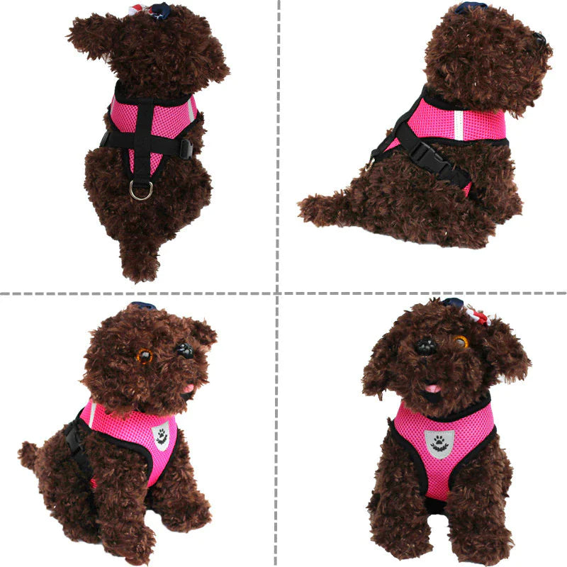 Adjustable Reflective Pet Harness – Dog & Cat Control Vest with Leash