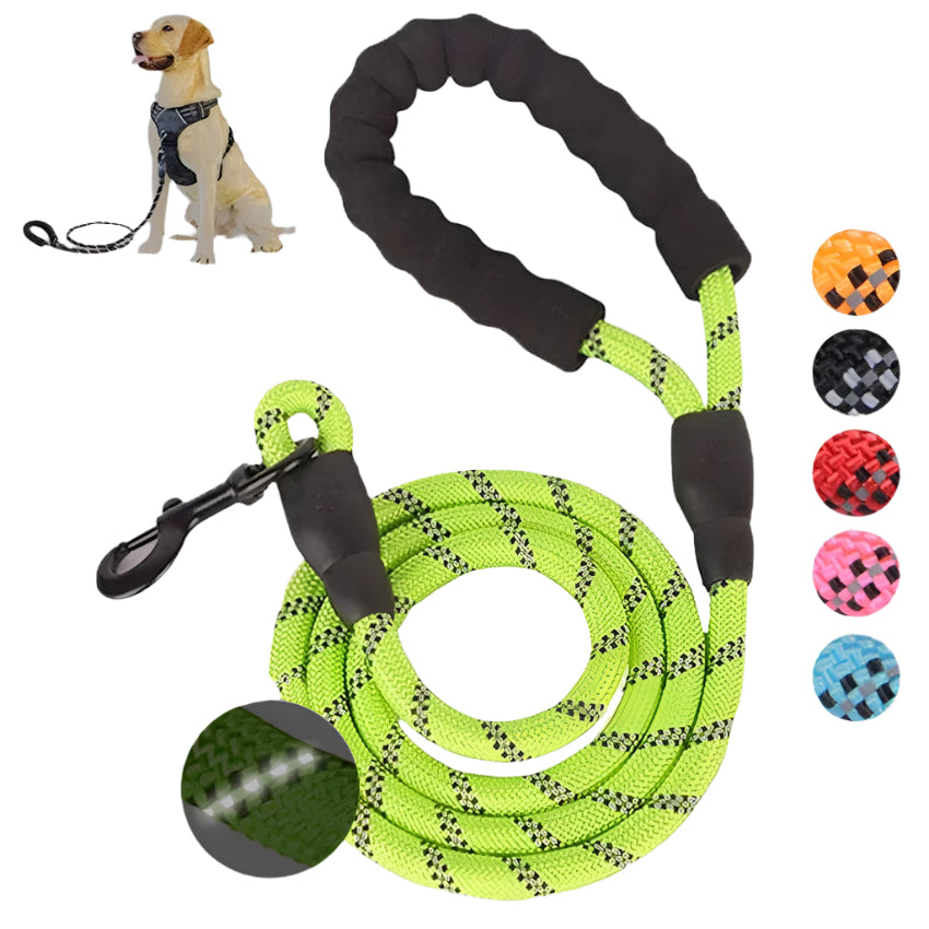 Retractable Luminous Pet Leash – Night-Safe Dog Walking