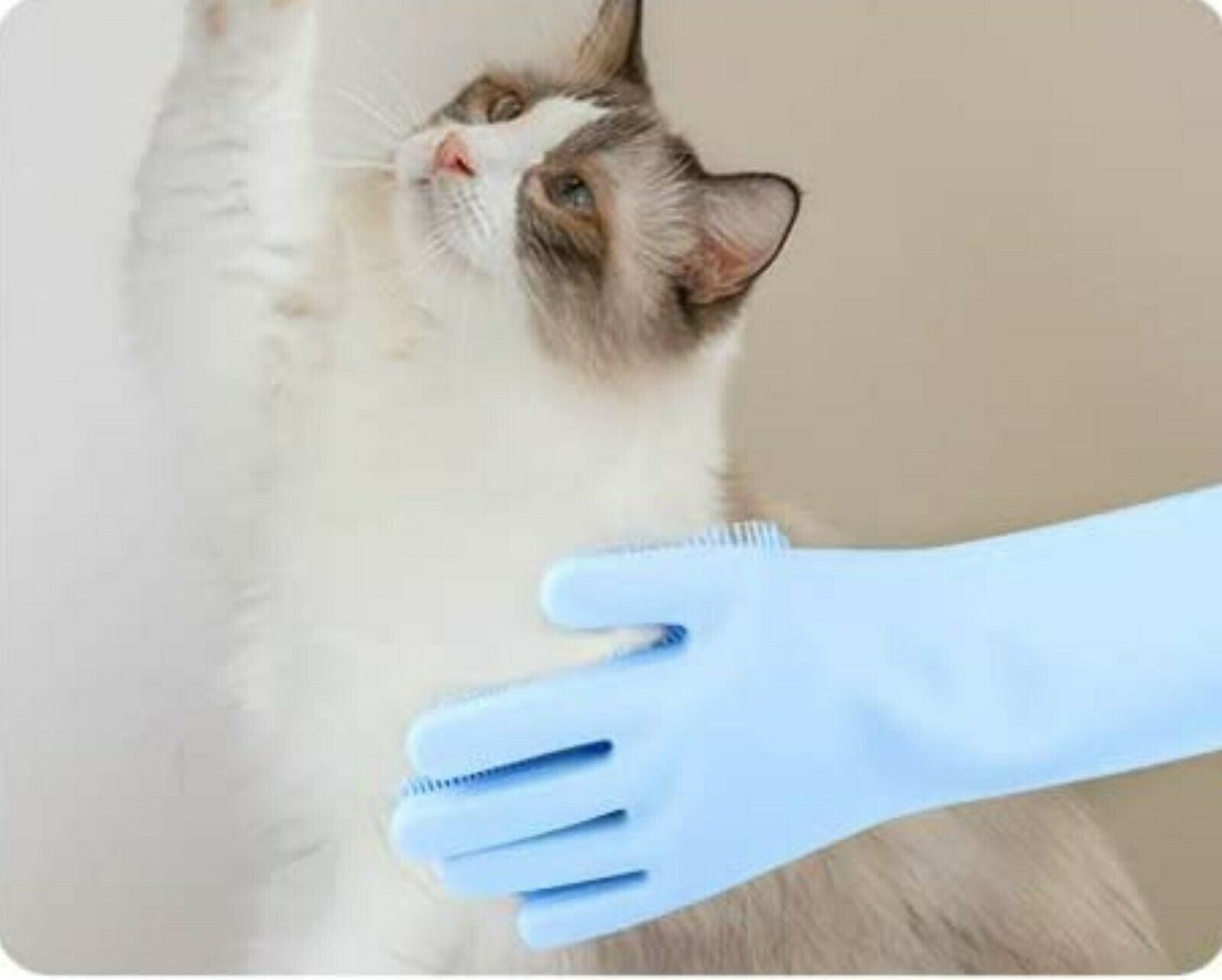 2-in-1 Silicone Rubber Pet Grooming Scrubber – Blue