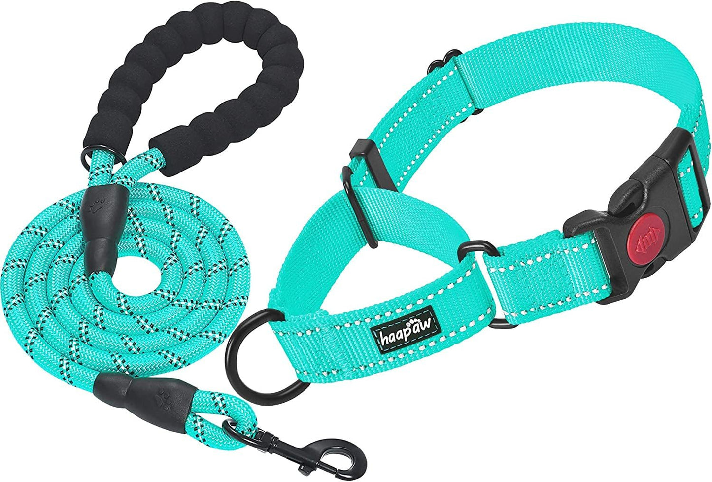 2-Pack Dog Training Collars – Adjustable for All Sizes