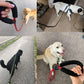 Retractable Luminous Pet Leash – Night-Safe Dog Walking