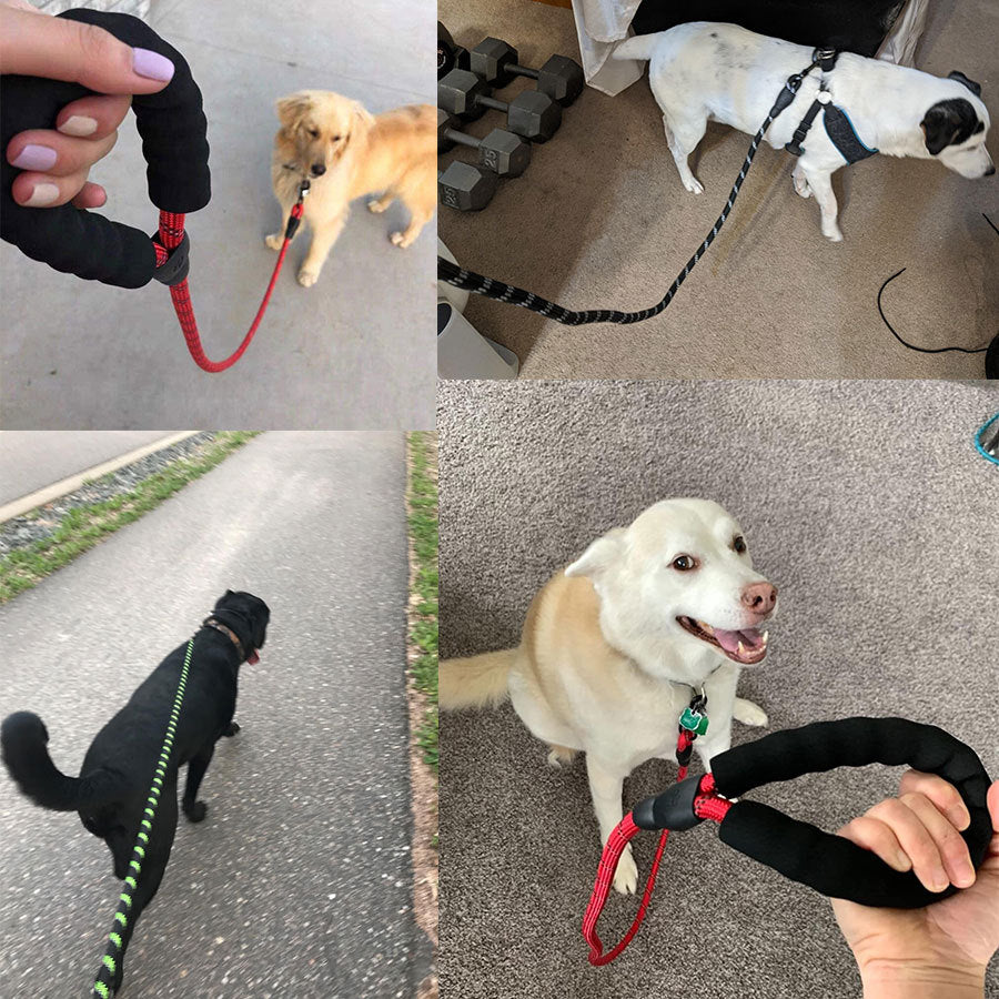 Retractable Luminous Pet Leash – Night-Safe Dog Walking
