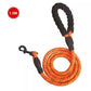 Retractable Luminous Pet Leash – Night-Safe Dog Walking