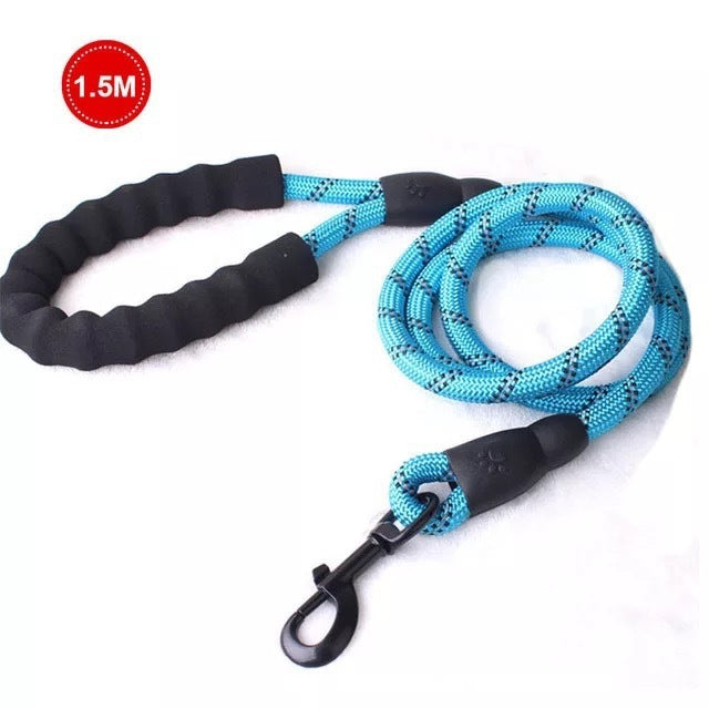 Retractable Luminous Pet Leash – Night-Safe Dog Walking